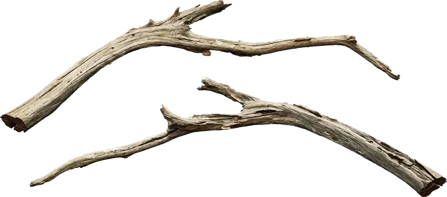 drift wood branch 001 — Descargar