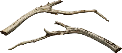 drift wood branch 001 — Descargar