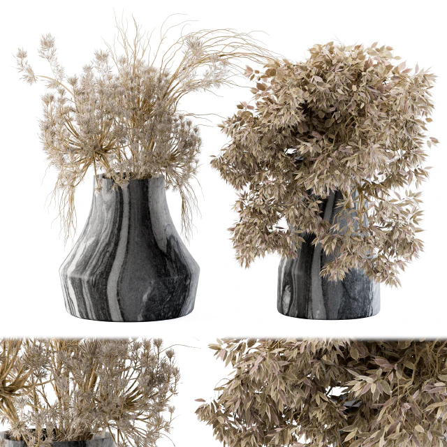Dry plants 14 — Descargar