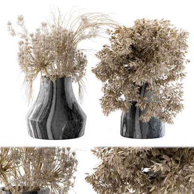 Dry plants 14 — Ver 1