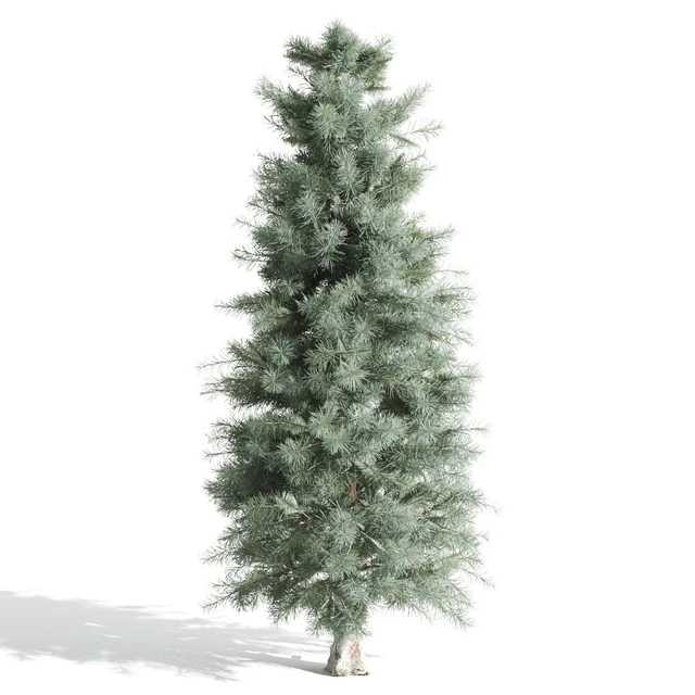 3 Pine tree — Descargar
