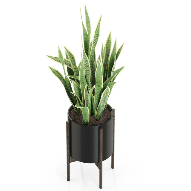 Plants collection 505 — Скачать