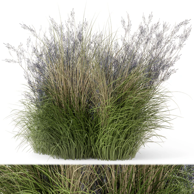 Outdoor Plants Bush-Bush Set 660 — Descargar