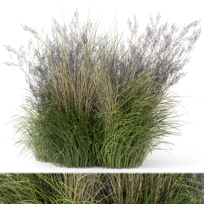 Outdoor Plants Bush-Bush Set 660 — Ver 1