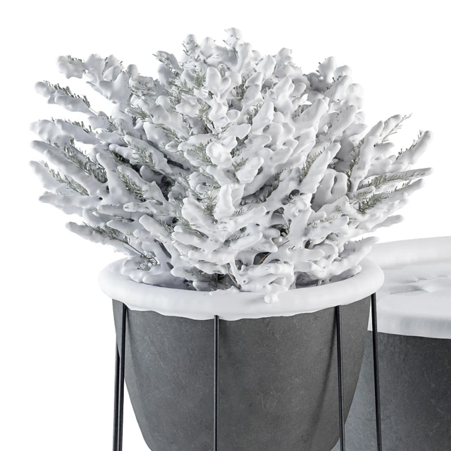 Outdoor Plants in Pot Snowy - Set 346 — Скачать