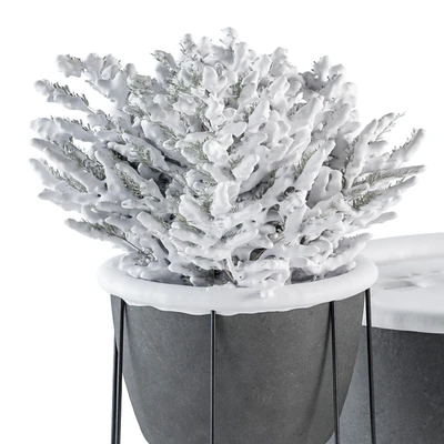 Outdoor Plants in Pot Snowy - Set 346 — Вид 3