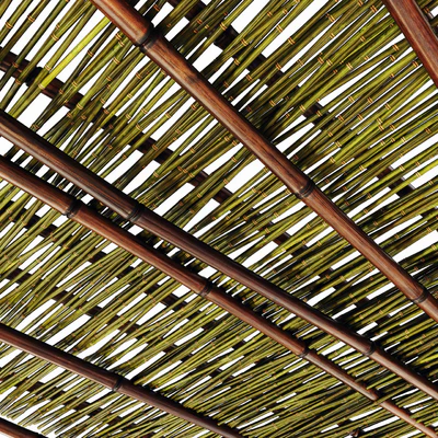 Branch bamboo long low n3 / Long bamboo branches No. 3 — Ver 2
