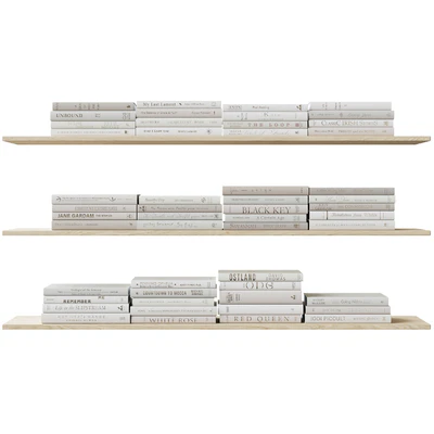 A set of beige books Books light beige — Ver 2