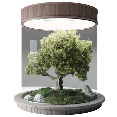 Terrarium №3 — Вид 2
