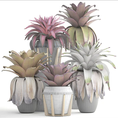 Экзотический цветок 153. Bromelia, Куст, растения, горшок, вазон, Бромелия, ботанический, сад, декоративный, тропический — Вид 2