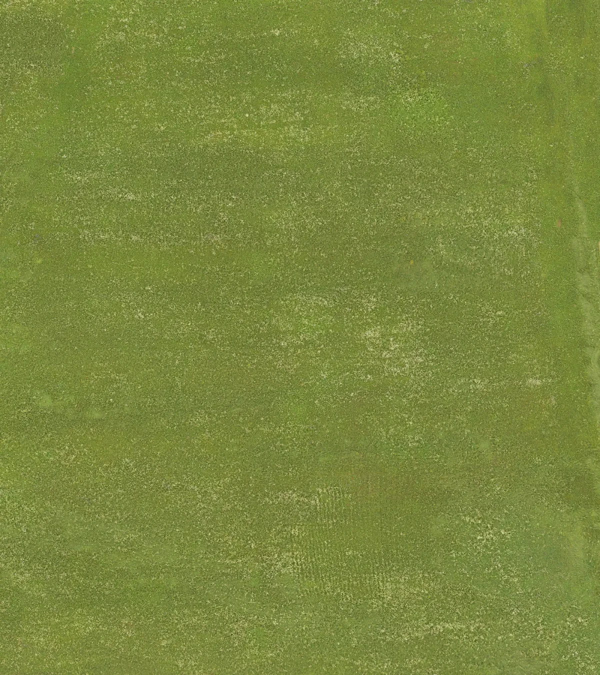 field summer 026 — Descargar