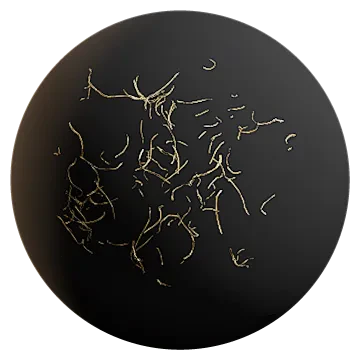 dry grass debris 001 — Descargar