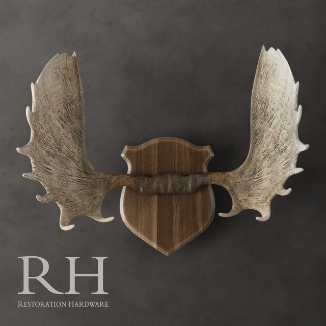 Restoration Hardware - Moose Antlers in Cast Resin — Скачать
