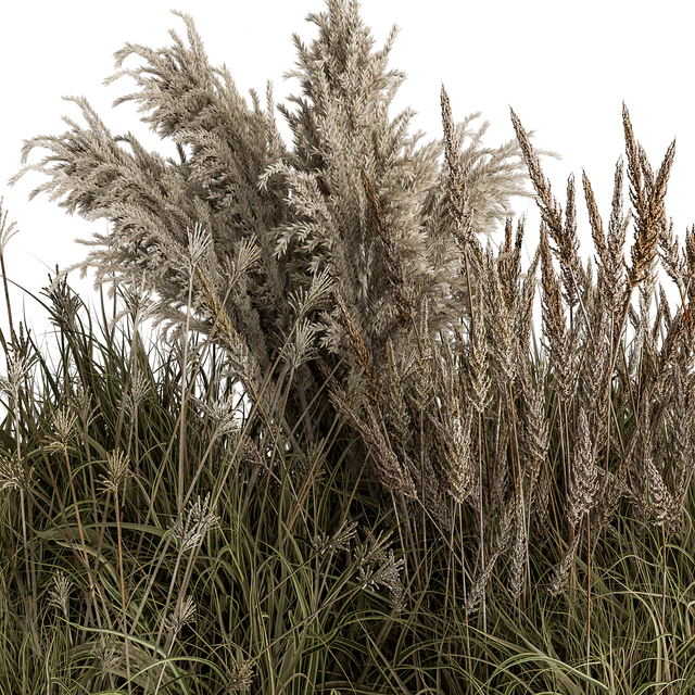 Pampas Plant Bush Set 96 — Скачать