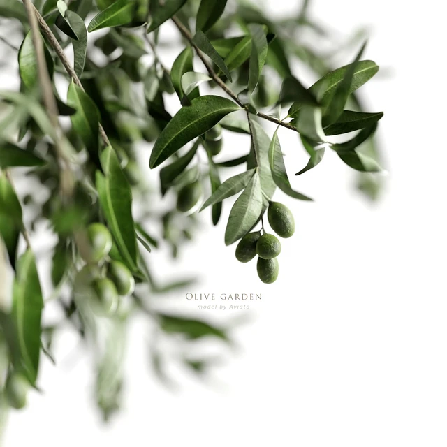 olive garden — Descargar