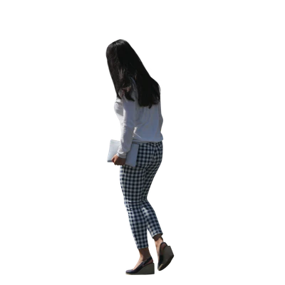 2535 — Descargar