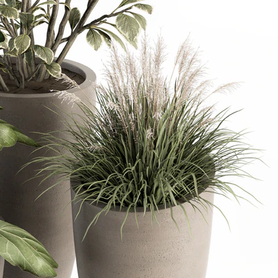 indoor Plant Set 264 - Plant Set in pot — Вид 2