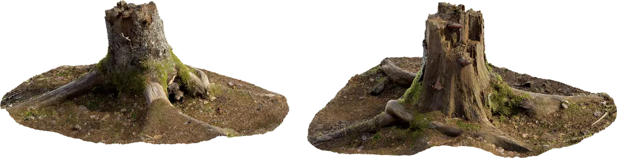 mossy stump 002 — Скачать