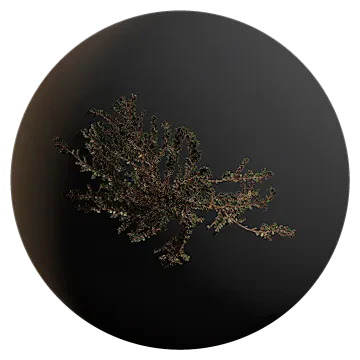weed between tiles 003 — Descargar
