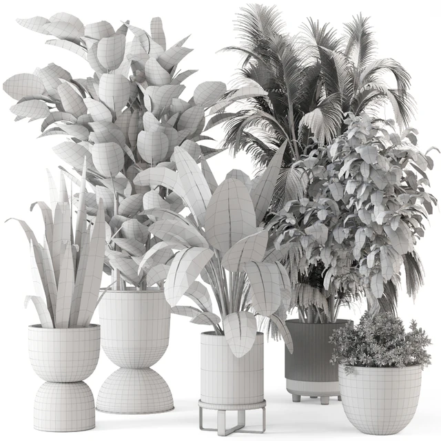 Indoor Plants in Ferm Living Bau Pot Large - Set 290 — Скачать