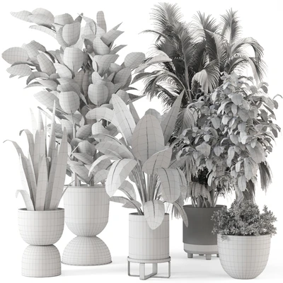 Indoor Plants in Ferm Living Bau Pot Large - Set 290 — Вид 2