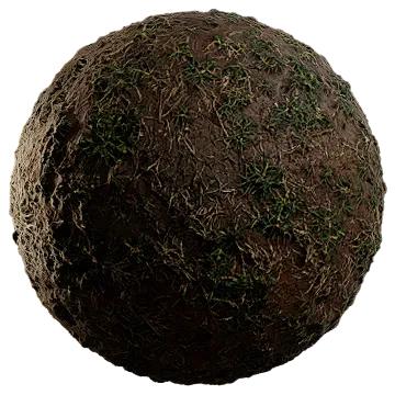 scarce grass on damp soil 010 — Descargar