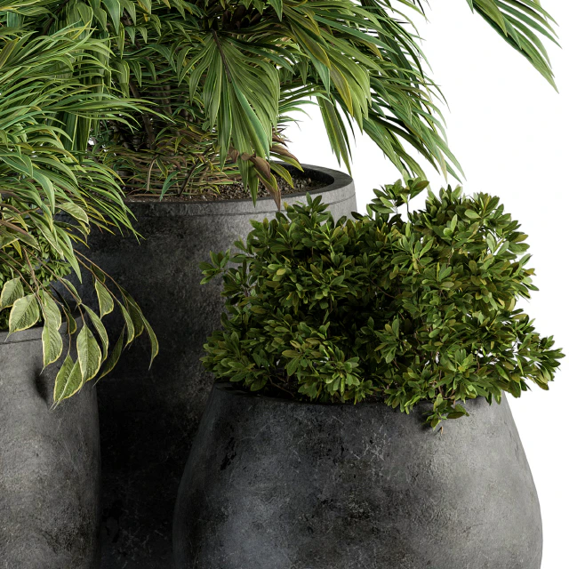 indoor Plant Set 113 - Black Pot — Скачать