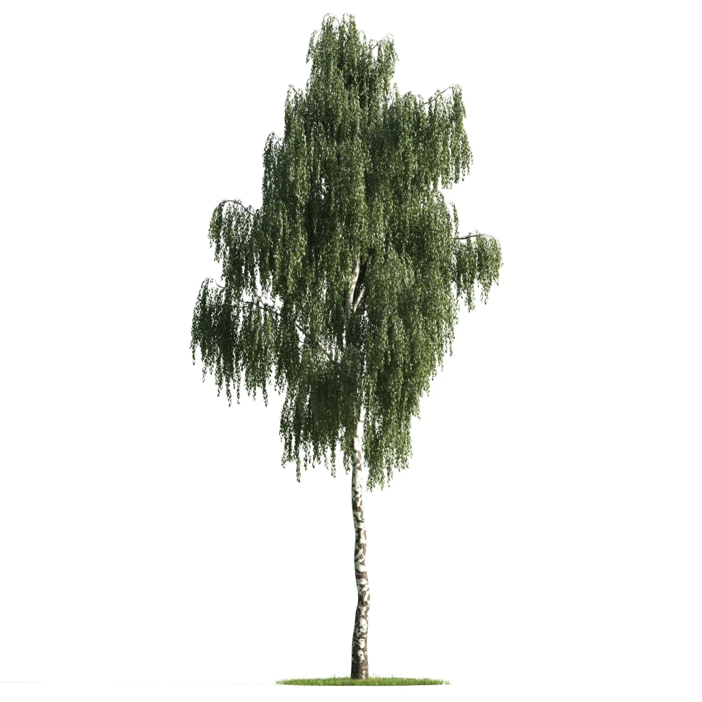 trees 006 — Descargar