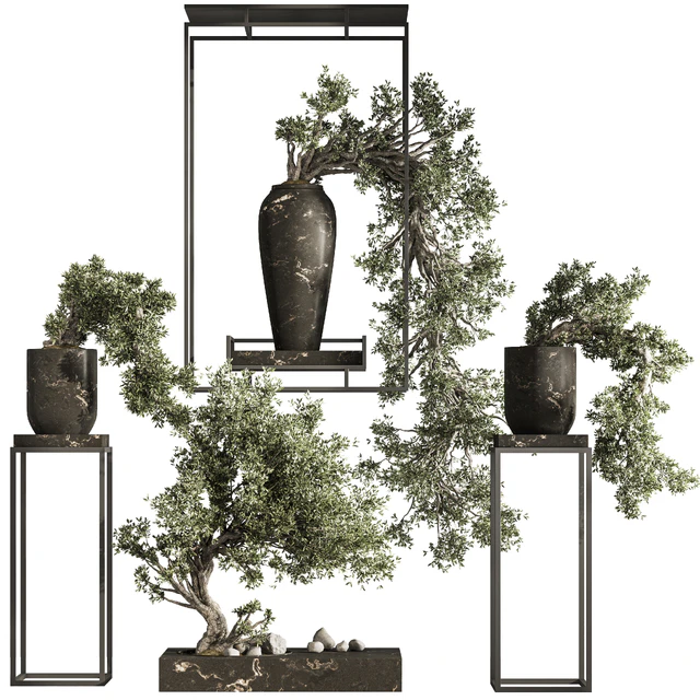 Bonsai and Indoor Plant Set 38 — Скачать