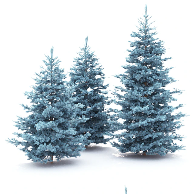 Spruce — Скачать