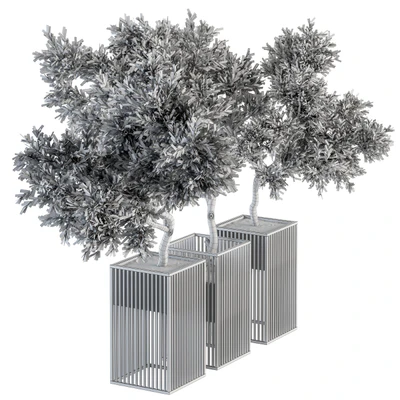 Outdoor Plants tree in Metal Pot - Set 134 — Ver 2