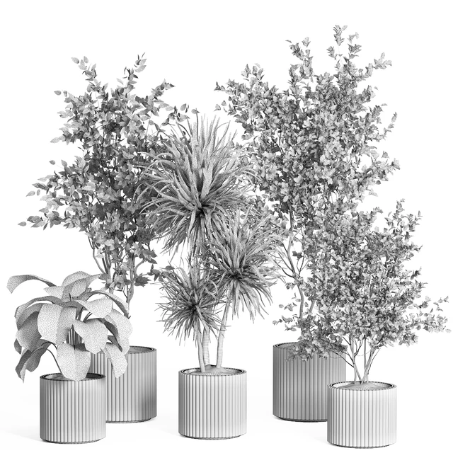 indoor plant set 59-Concrete pot — Descargar