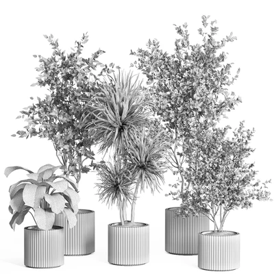 indoor plant set 59-Concrete pot — Ver 2