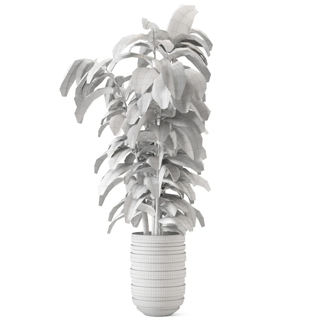 Indoor Plants  in rusty Concrete Pot - Set 549 — Скачать