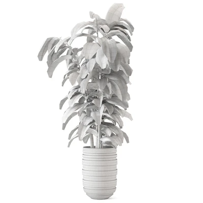 Indoor Plants  in rusty Concrete Pot - Set 549 — Вид 3