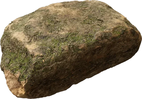 mossy forest rock 005 — Скачать