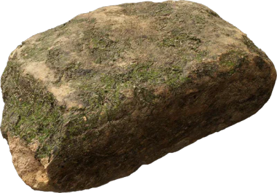 mossy forest rock 005 — Скачать