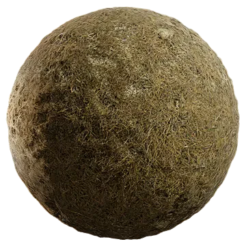 dried grass 017 — Download