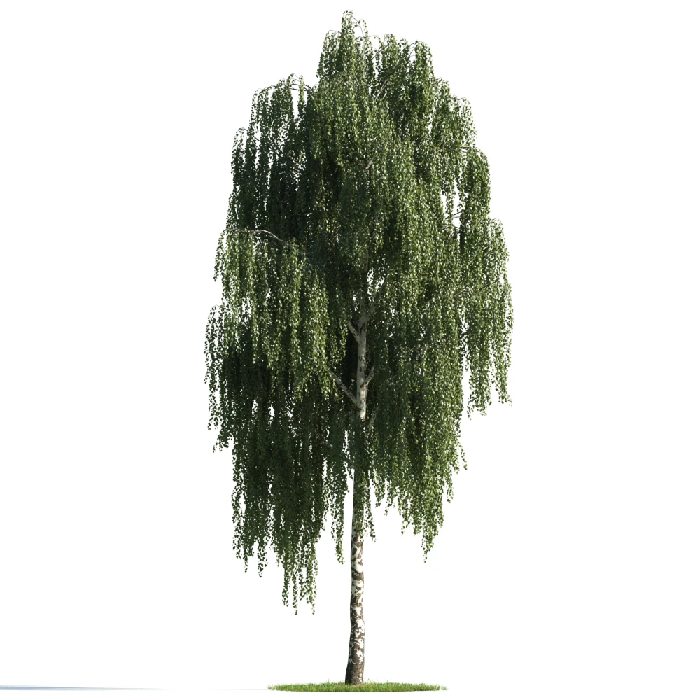 trees 012 — Скачать