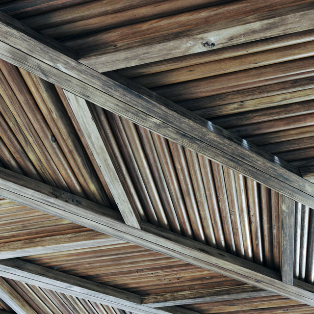 Ceiling diagonal branch straight n2 — Descargar