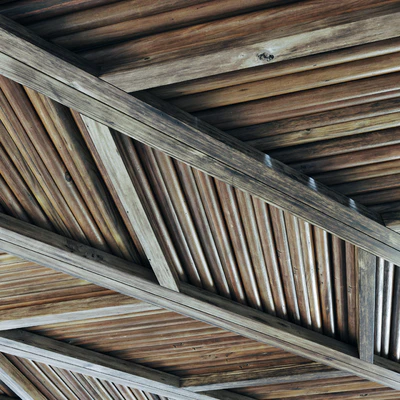 Ceiling diagonal branch straight n2 — Ver 3