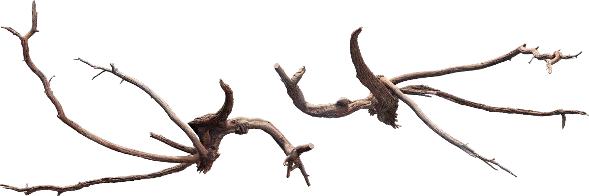 desert western tree log dead small 003 — Скачать