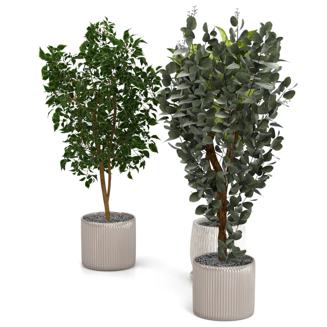 Houseplants set — Descargar