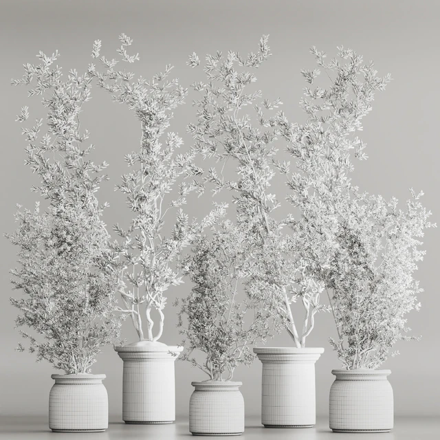 Indoor Plant Set 81 Dry Plants — Descargar