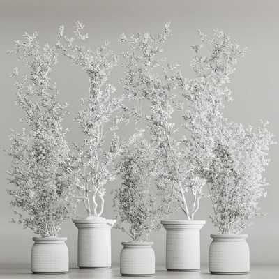 Indoor Plant Set 81 Dry Plants — Ver 3