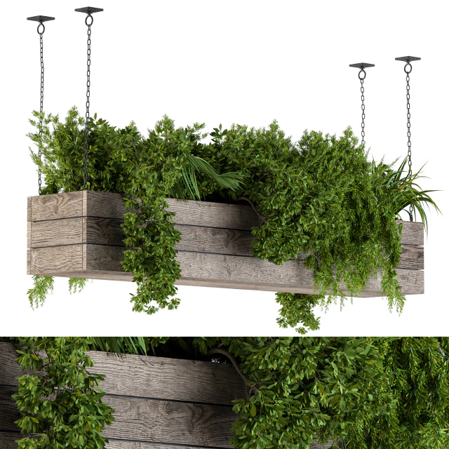 Hanging Plants in Wooden Box — Descargar