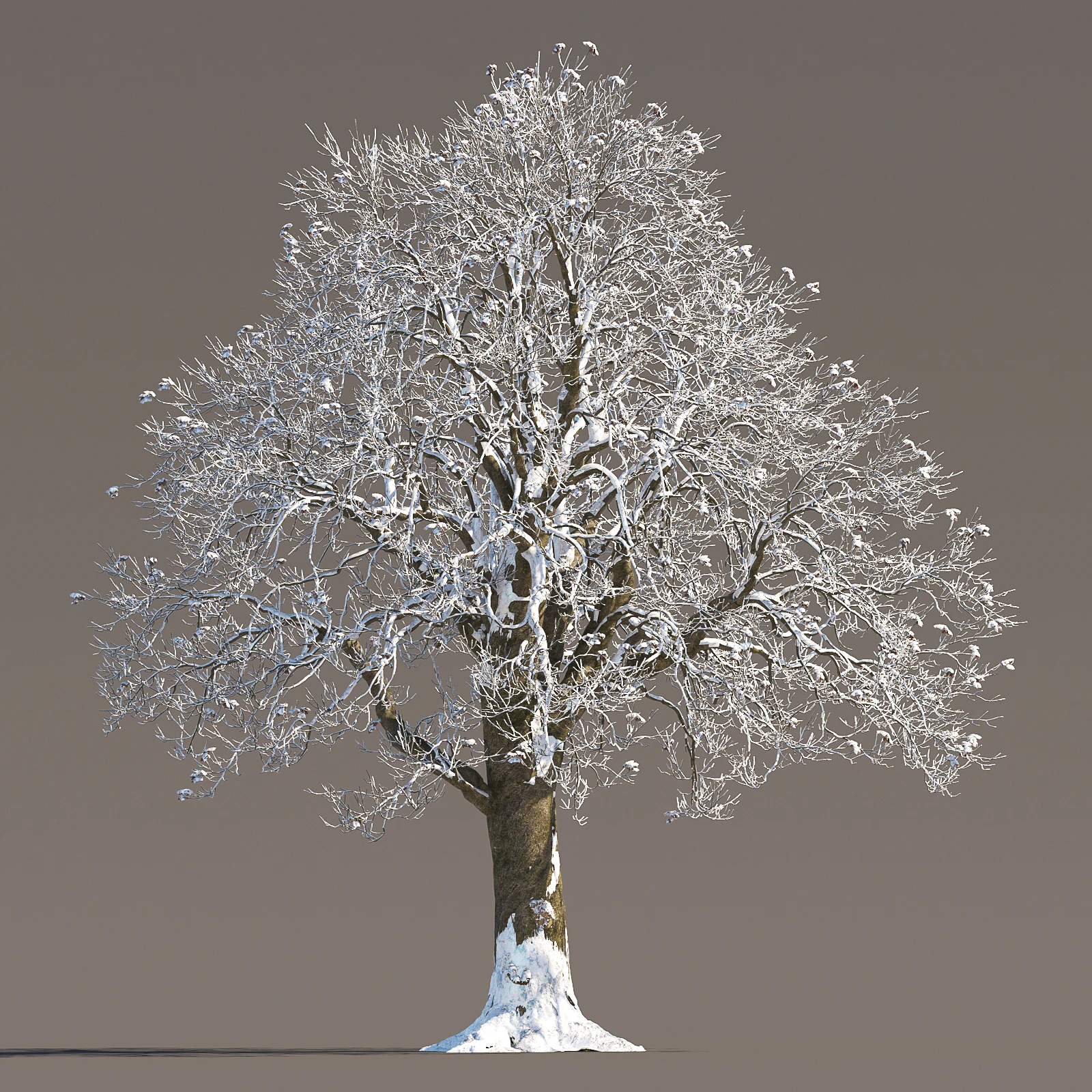 058 winter — Скачать