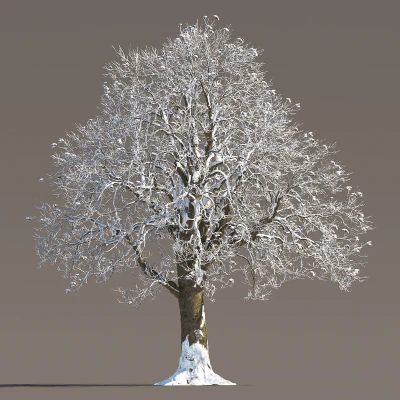 058 winter — Скачать