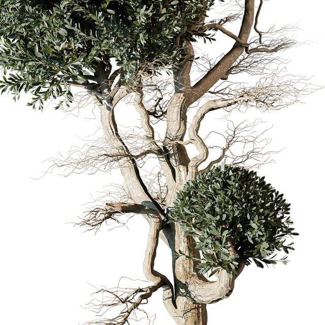 tree vol 17 — Descargar