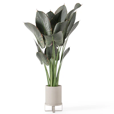 Indoor Plants in Ferm Living Bau Pot Large - Set 555 — Вид 3